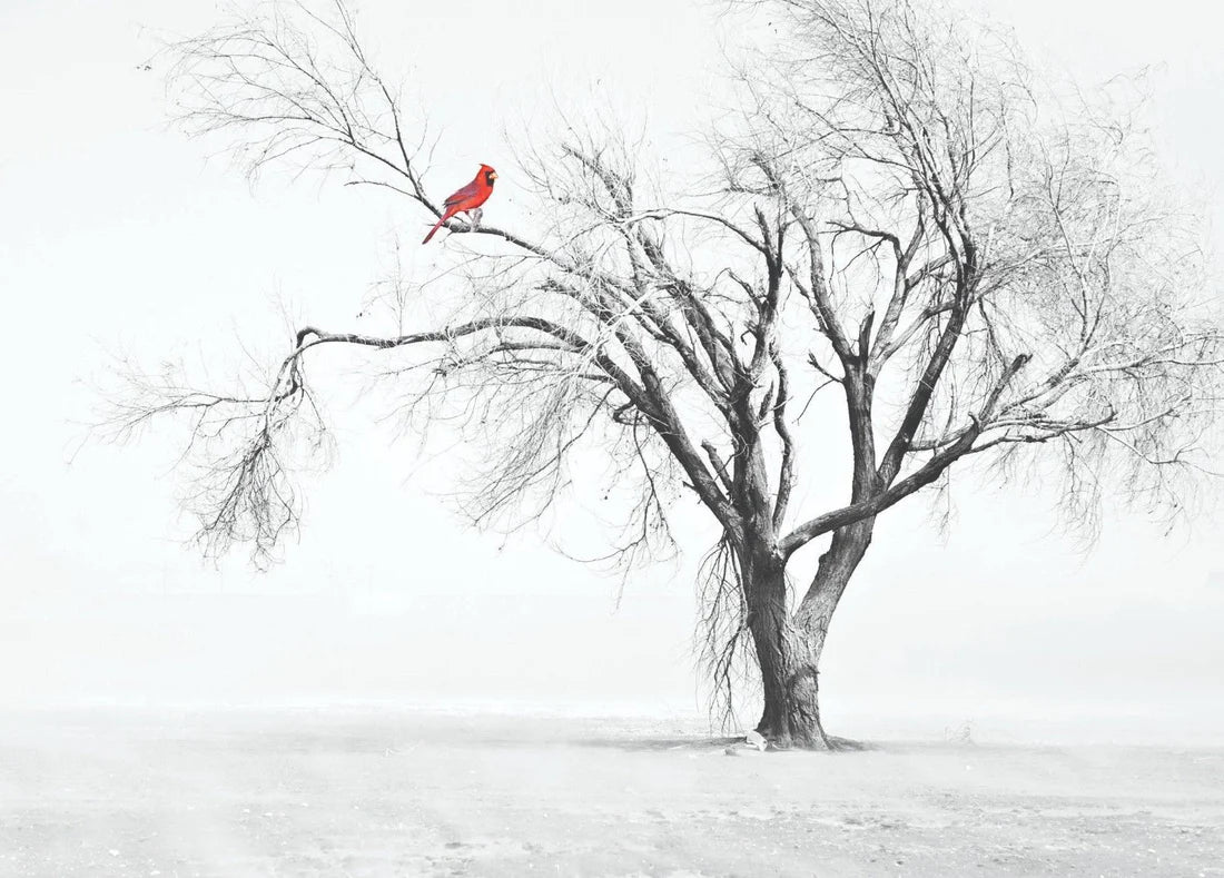 Red Bird Forest trees Modern Painting Black & White 90x60cm Print 100% Australian Made - Bella Home Decor