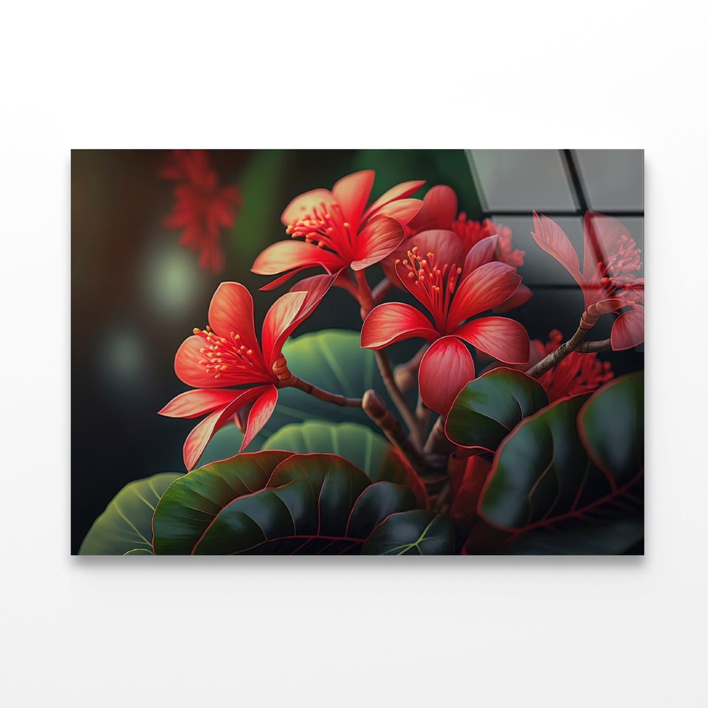 Red Tropical Flowers Acrylic Glass Print Tempered Glass Wall Art 100% Made in Australia Ready to Hang - Bella Home Decor