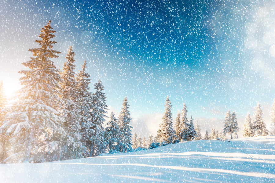 Dramatic Wintry Scene Acrylic Glass Print Tempered Glass Wall Art 100% Made in Australia Ready to Hang - Bella Home Decor