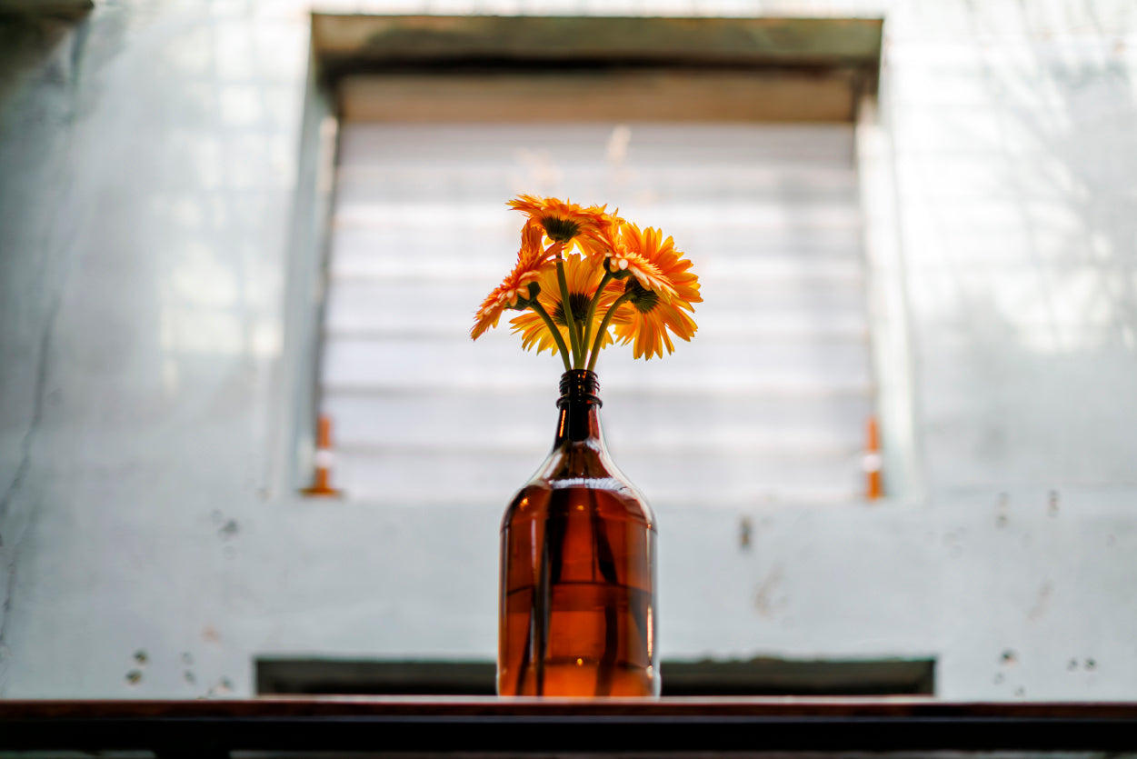 Gerbera Flower Blooming In Vase Bottle Home Decor Premium Quality Poster Print Choose Your Sizes - Bella Home Decor