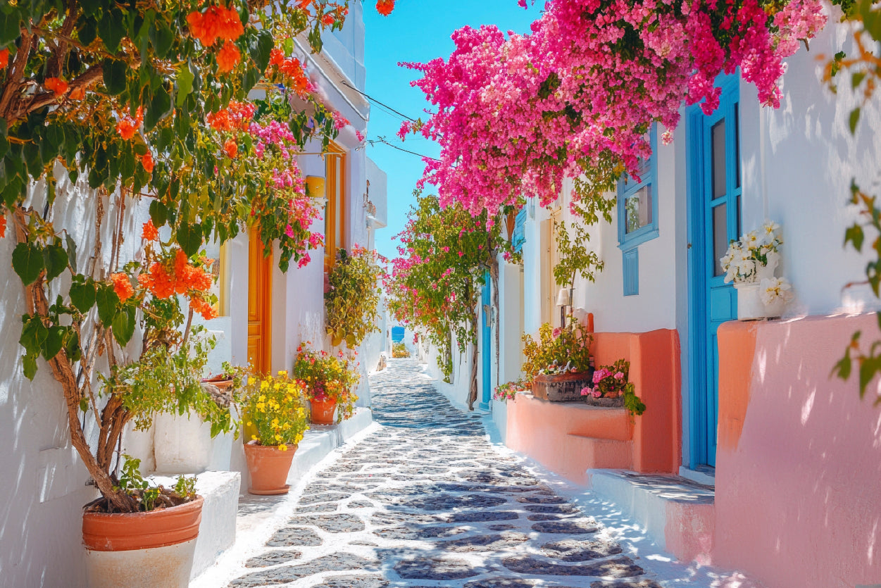 Beautiful Street with Flowers in Greece Home Decor Premium Quality Poster Print Choose Your Sizes - Bella Home Decor