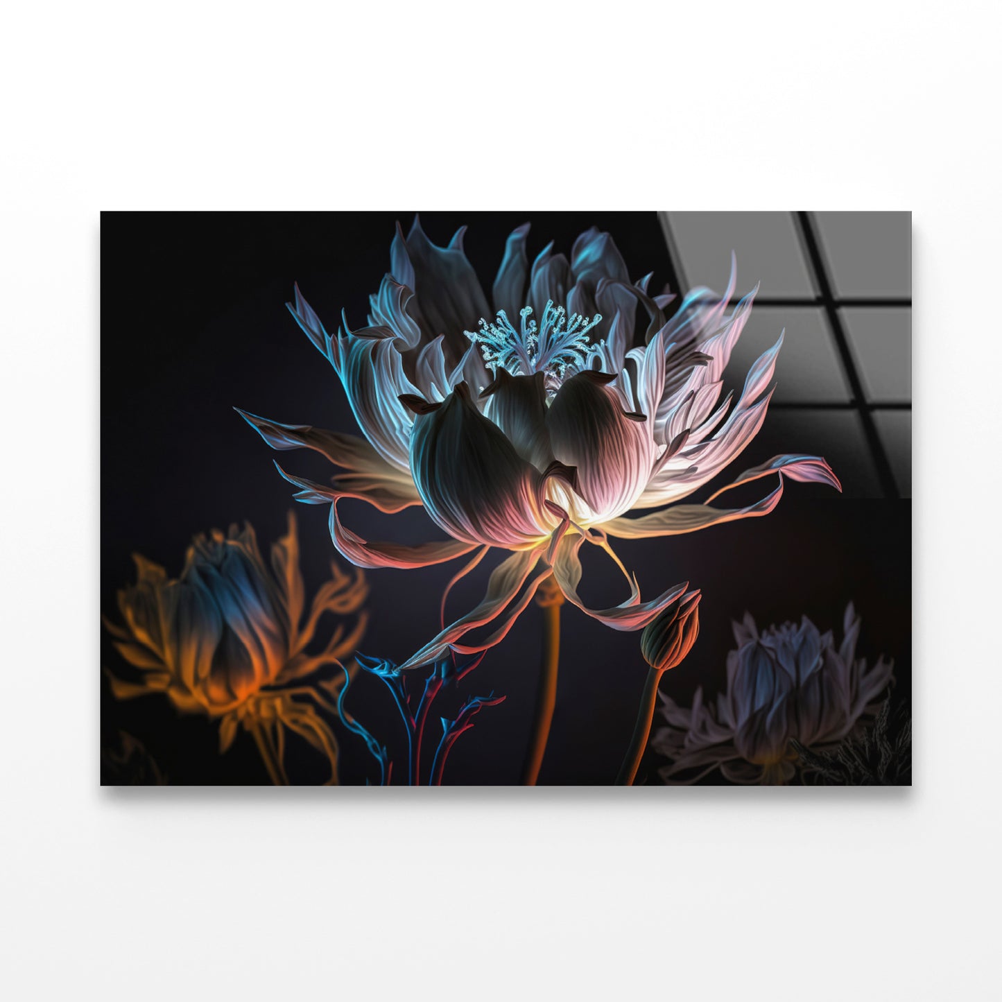 Close-Up of a Flower at Night Acrylic Glass Print Tempered Glass Wall Art 100% Made in Australia Ready to Hang - Bella Home Decor