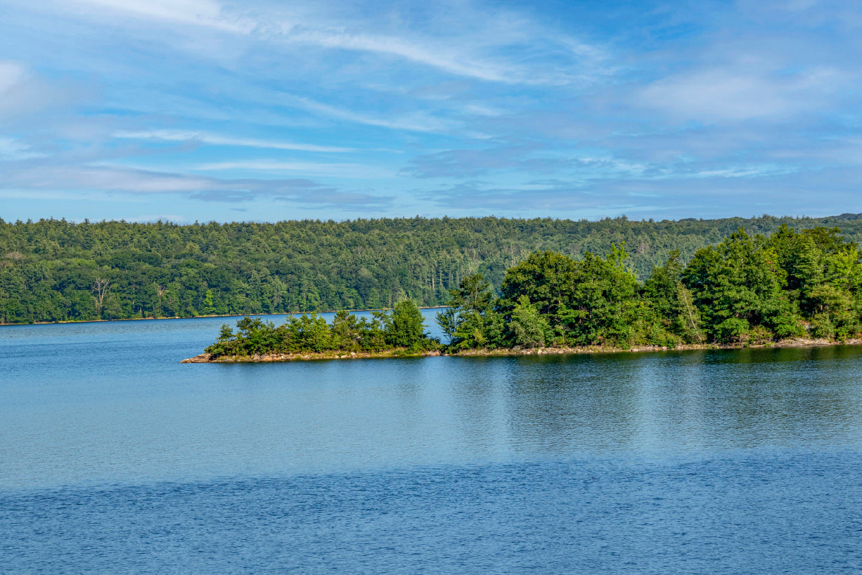 Small Piece of Land Jetting With Trees & Lake, Sky Home Decor Premium Quality Poster Print Choose Your Sizes - Bella Home Decor