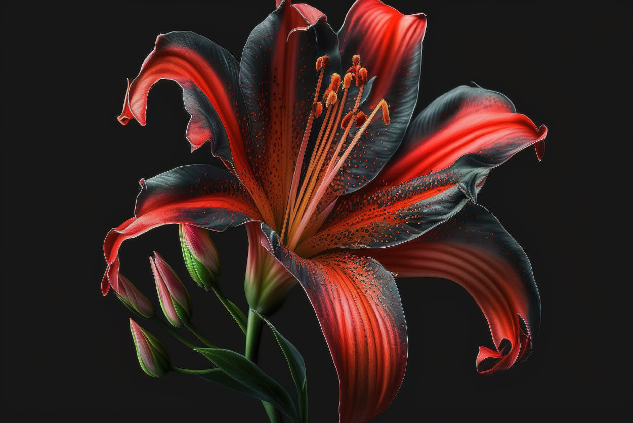 View of Lily Blossom Home Decor Premium Quality Poster Print Choose Your Sizes - Bella Home Decor