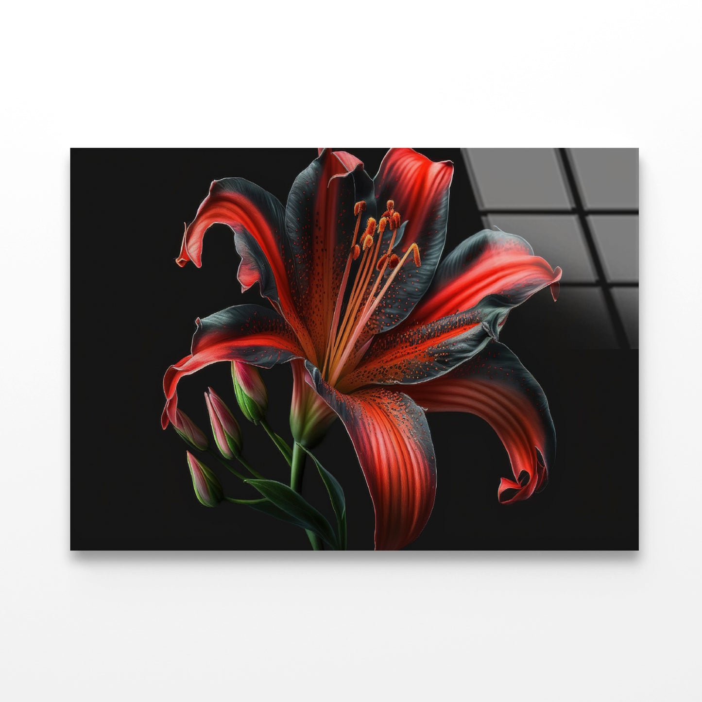 View of Lily Blossom Acrylic Glass Print Tempered Glass Wall Art 100% Made in Australia Ready to Hang - Bella Home Decor