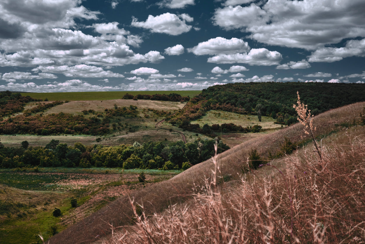 View of a Cloudy Sky and Forest Scenery Home Decor Premium Quality Poster Print Choose Your Sizes - Bella Home Decor