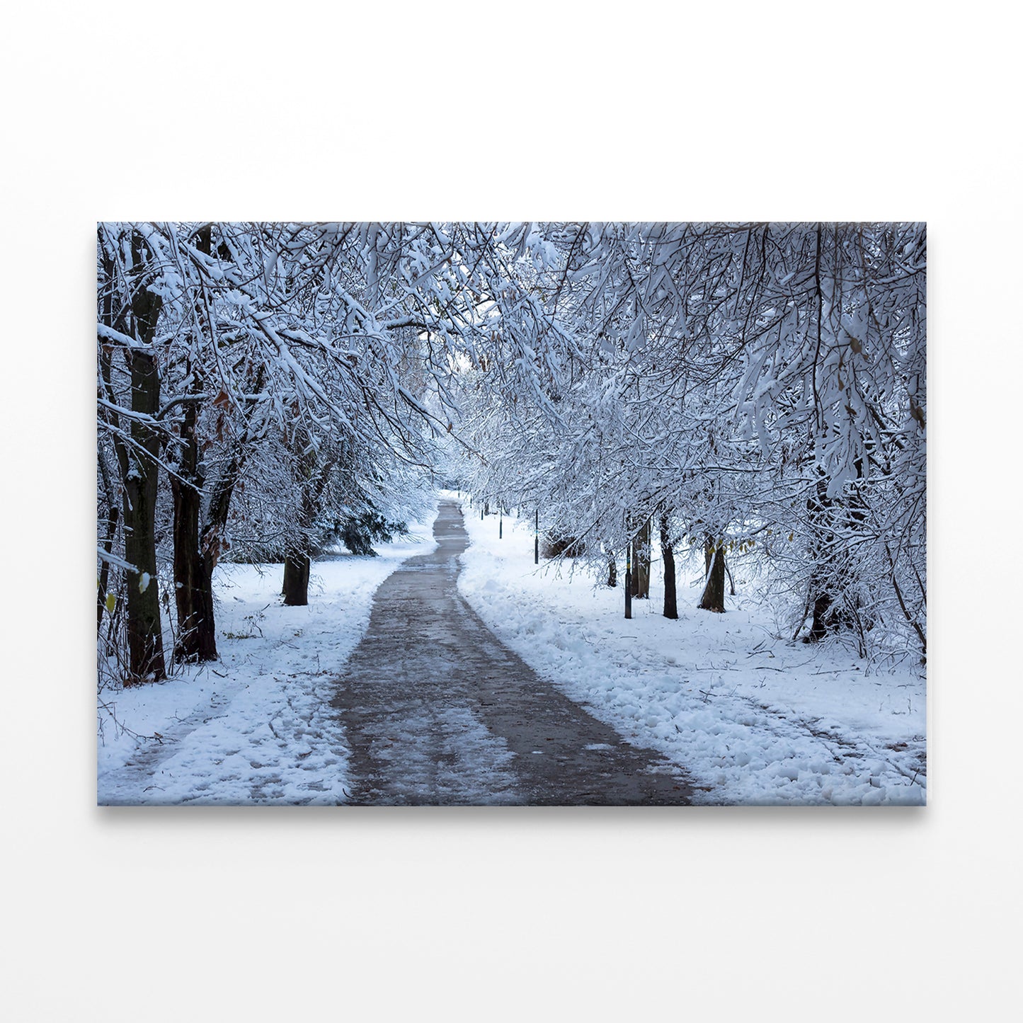 Winter Forest in South Park, Sofia Wall Art Decor 100% Australian Made - Bella Home Decor