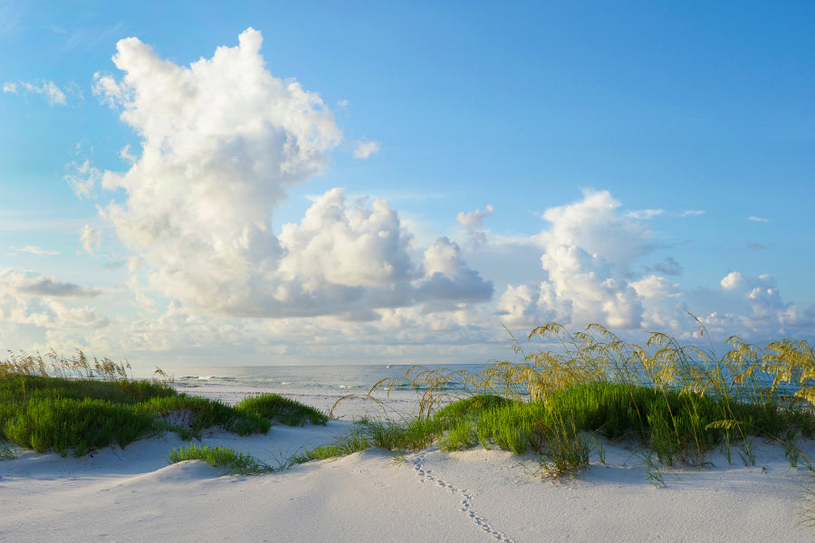 Early Morning Light on A Beautiful White Sand Beach of The Florida Gulf Coast Acrylic Glass Print Tempered Glass Wall Art 100% Made in Australia Ready to Hang - Bella Home Decor