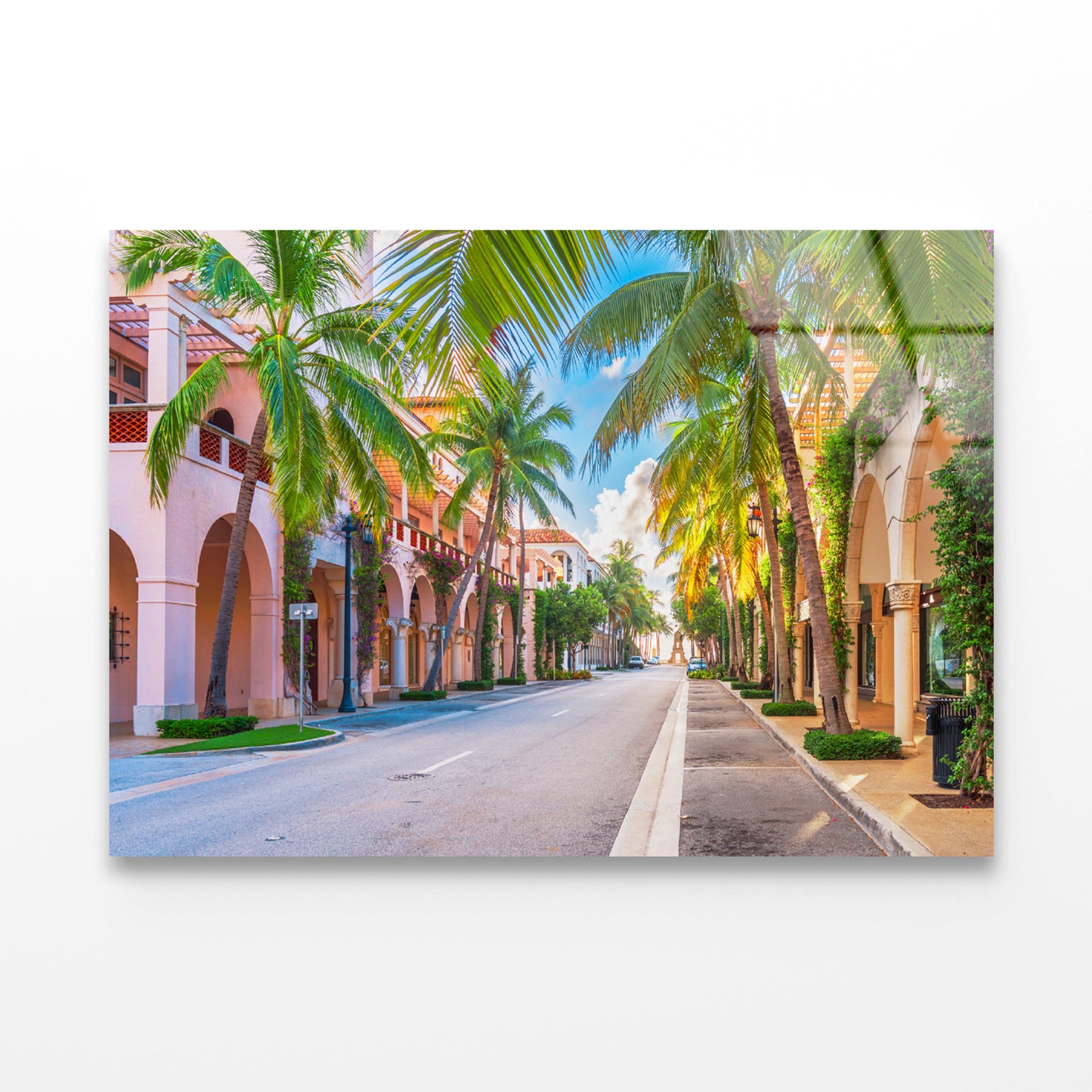 Palm Trees in Streets of Florida Acrylic Glass Print Tempered Glass Wall Art 100% Made in Australia Ready to Hang - Bella Home Decor