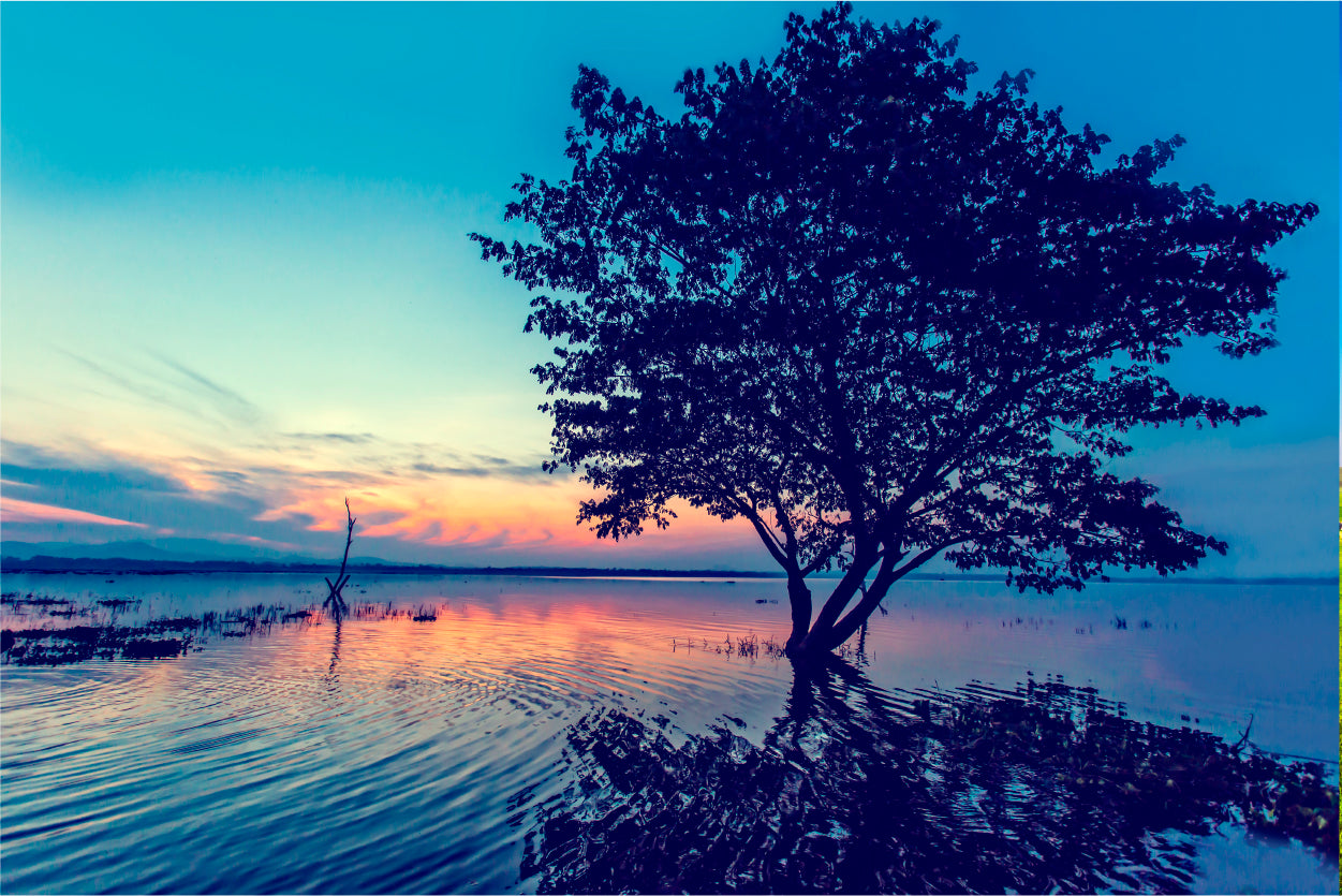 Silhouette of Trees in the Lake Home Decor Premium Quality Poster Print Choose Your Sizes - Bella Home Decor