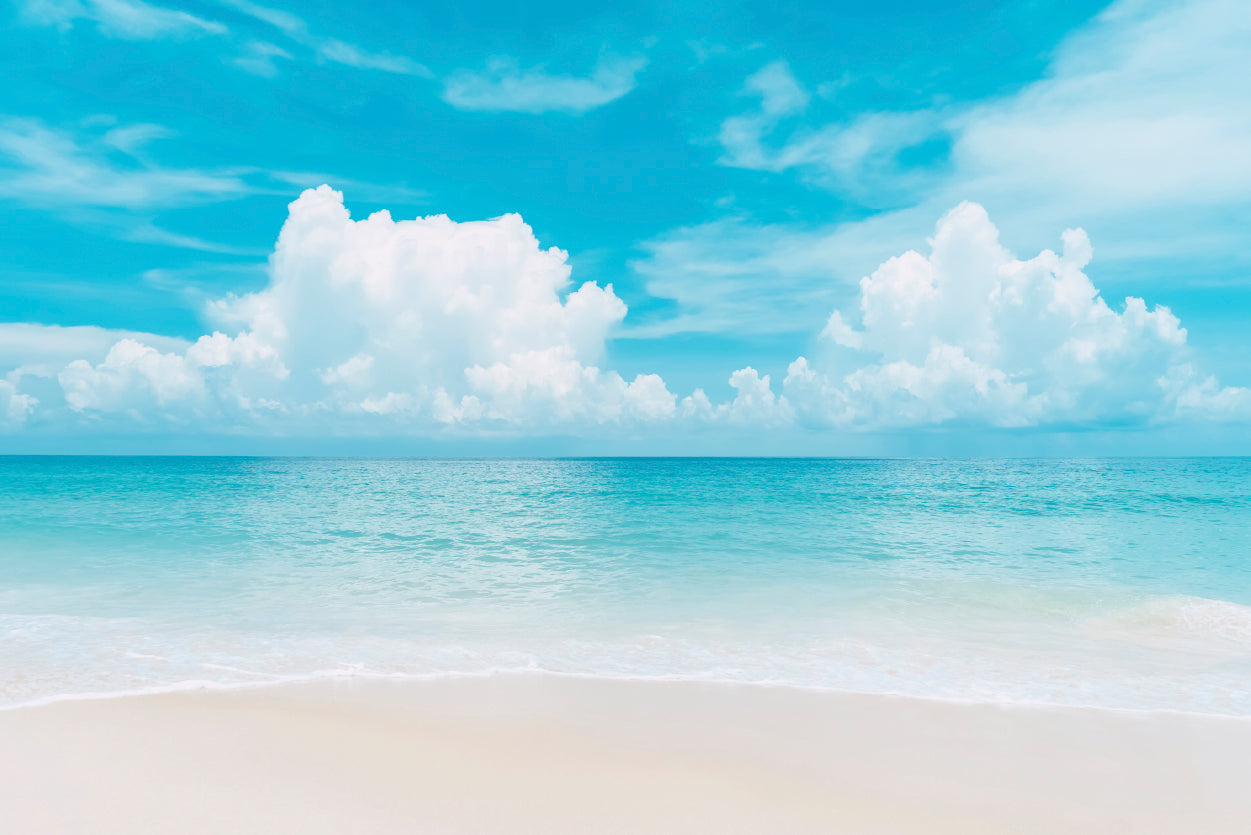 Beautiful Tropical Beach with Blue Sky Home Decor Premium Quality Poster Print Choose Your Sizes - Bella Home Decor