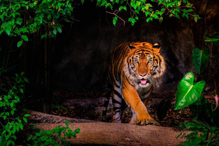 The Siberian Tiger & Forest View Home Decor Premium Quality Poster Print Choose Your Sizes - Bella Home Decor