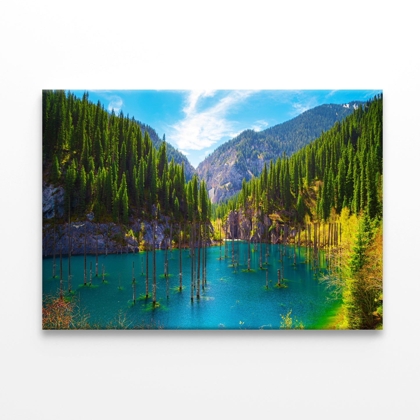 Sunken Forest in Kaindy Lake, Kaz Wall Art Decor 100% Australian Made - Bella Home Decor
