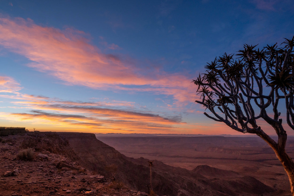 A Tree Standing On a Hill & Wonderful Sky in Namibia Home Decor Premium Quality Poster Print Choose Your Sizes - Bella Home Decor