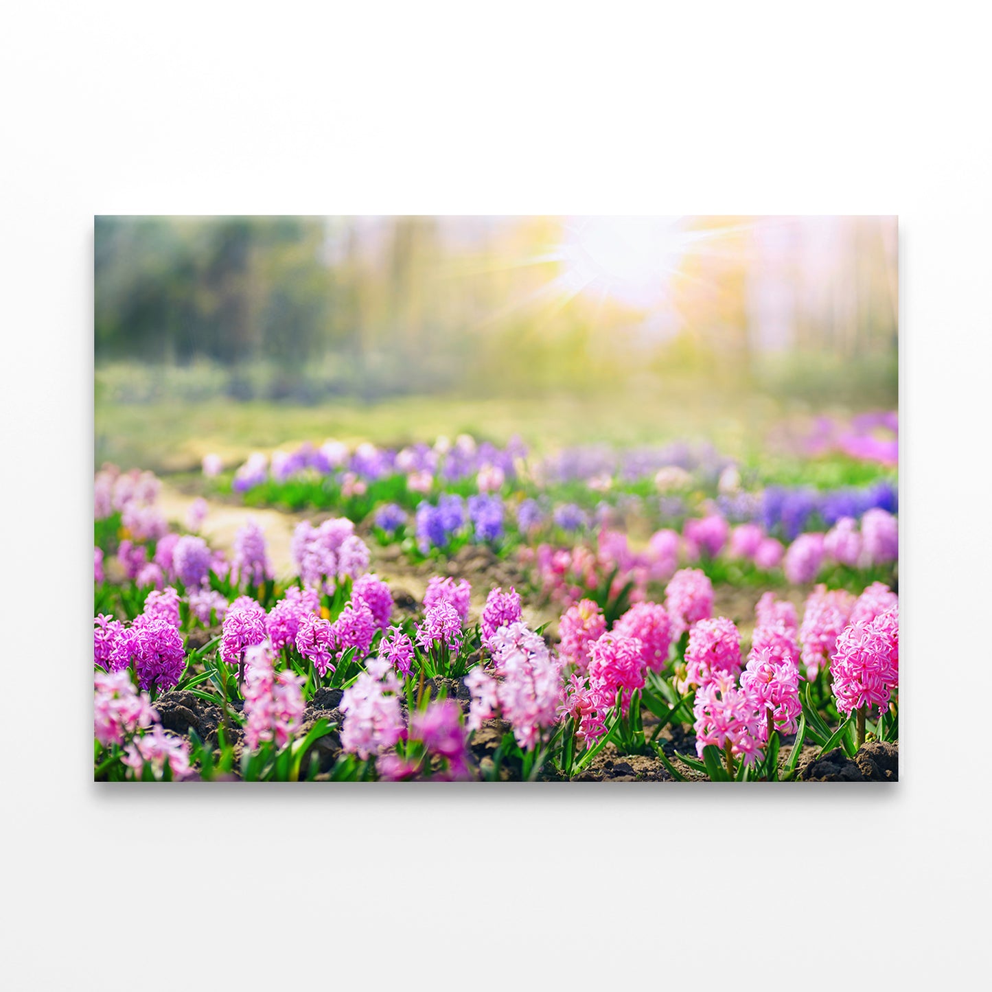 Spring Glade with Hyacinths in Forest Wall Art Decor 100% Australian Made - Bella Home Decor
