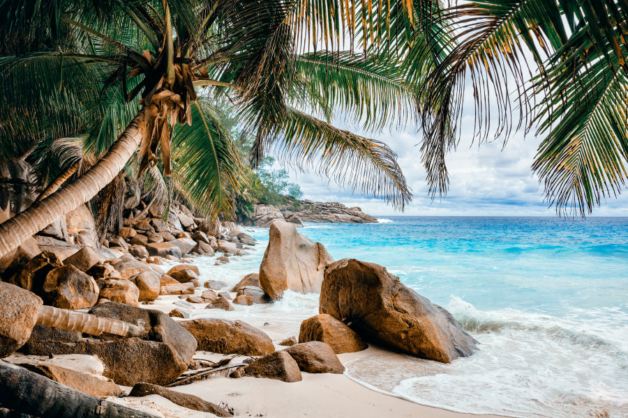 Rocks And Palm Trees Along the Shore Home Decor Premium Quality Poster Print Choose Your Sizes - Bella Home Decor