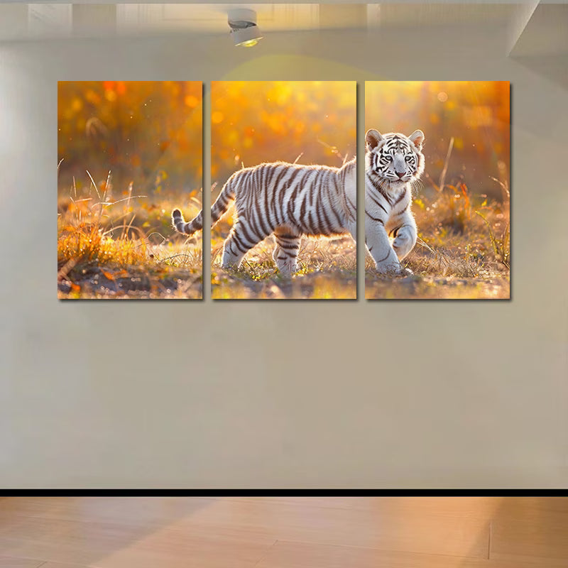 3pcs Charming White Tiger Cub Wall Art Set Canvas Framed 50x70cm - High Quality Print 100% Australian Made Wall Canvas Ready to Hang