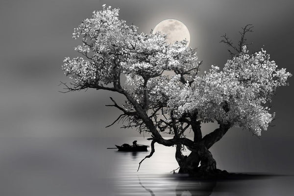 Tree & Moon B&W Photograph 90x60cm Print 100% Australian Made - Bella Home Decor