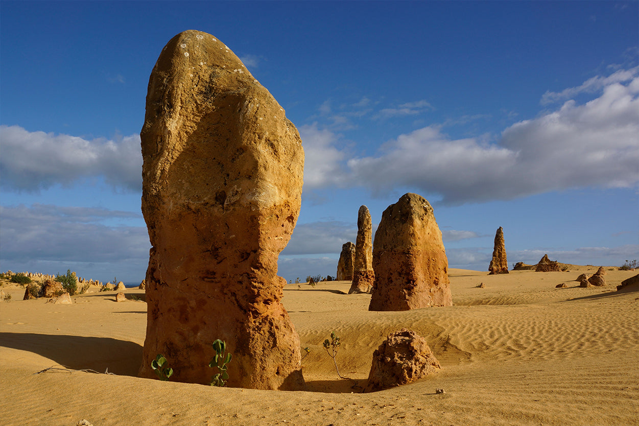 The Pinnacles Desert Western Australia Stone Formations Wall Art Decor 100% Australian Made