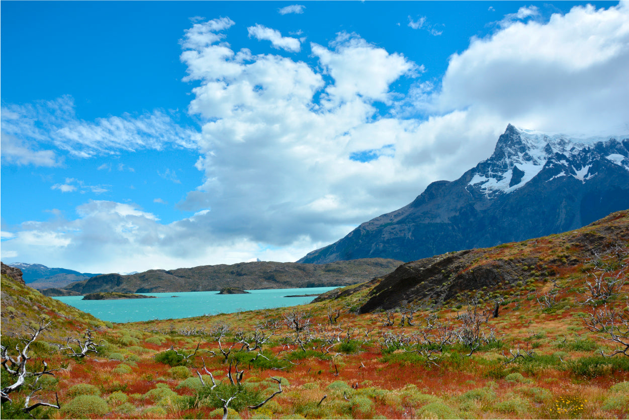 Landscapes of Chile Zona Sur Home Decor Premium Quality Poster Print Choose Your Sizes - Bella Home Decor
