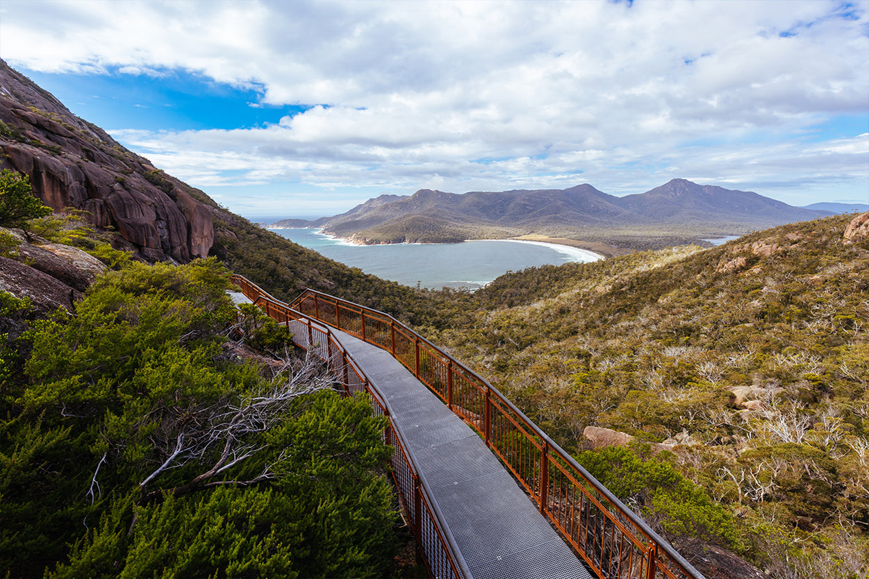 Wineglass Bay Tasmania Lookout Wall Art Decor 100% Australian Made