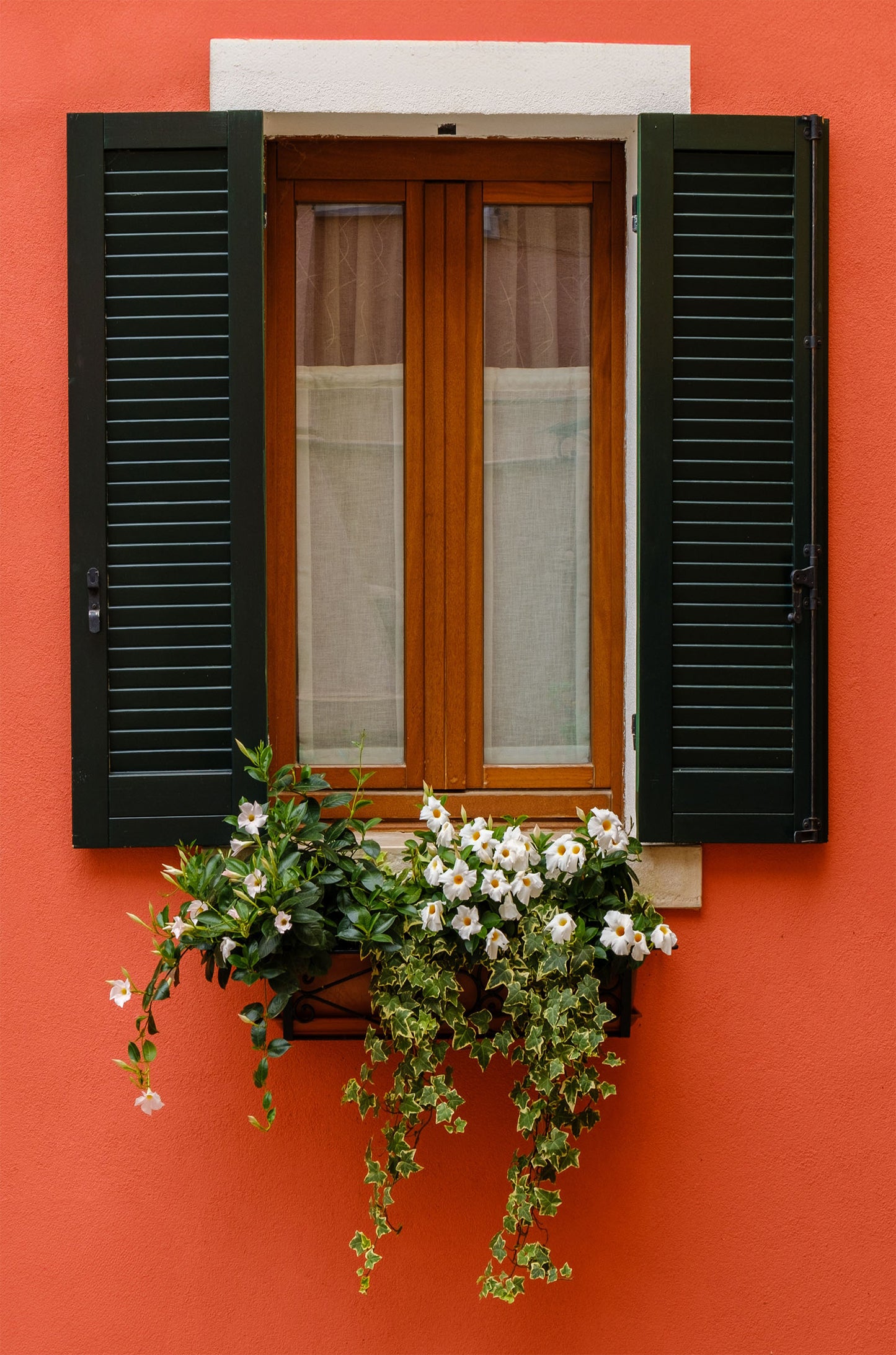 Red Wall Window Flower Box 60x90cm Metal Print Ready to Hang