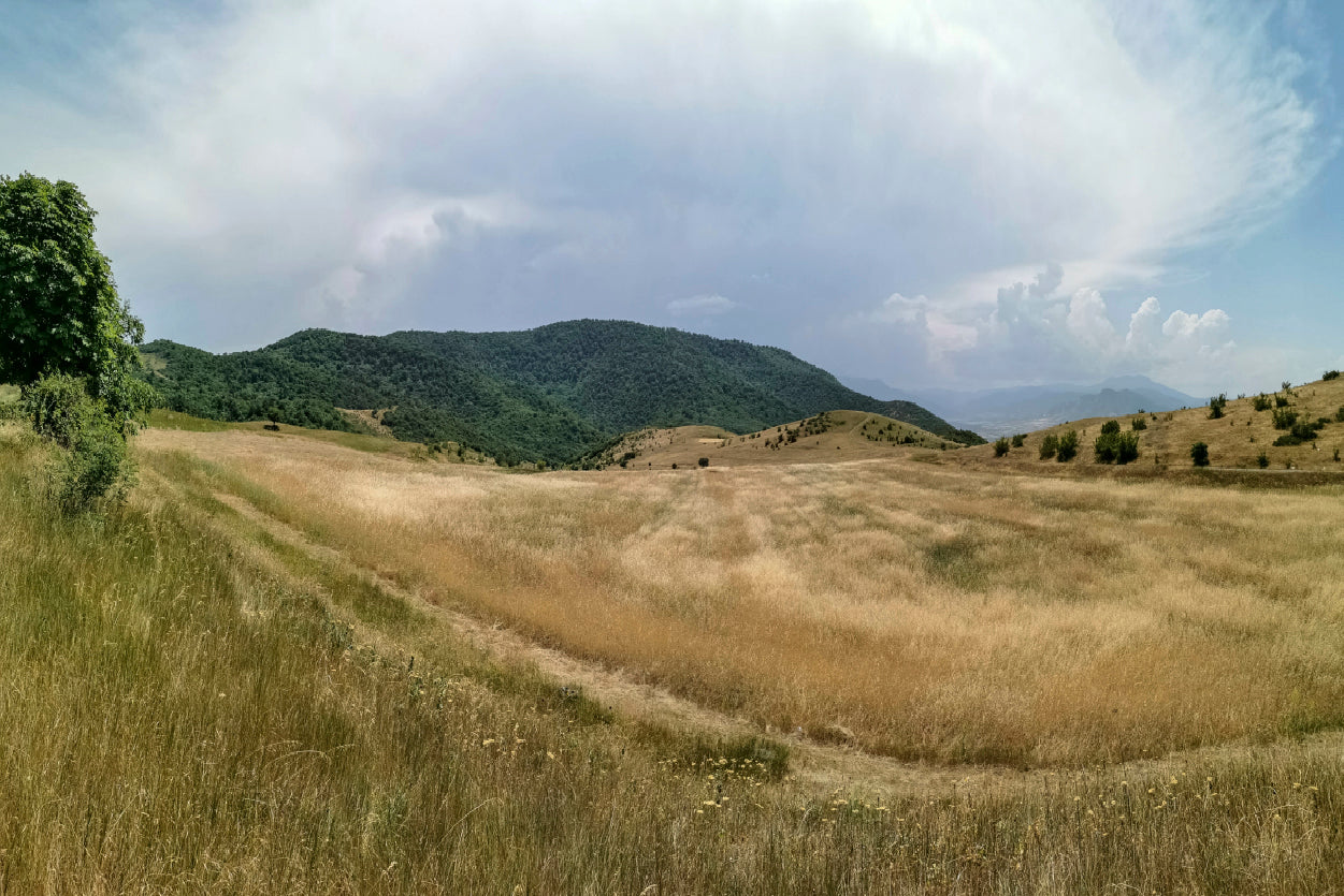 View Of a Grassy Field with Hills, Clear Sky & Clouds Home Decor Premium Quality Poster Print Choose Your Sizes - Bella Home Decor