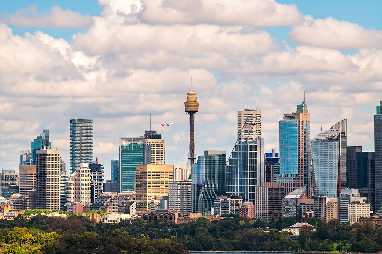 Sydney Tower New South Wales Skyline Panorama Wall Art Decor 100% Australian Made