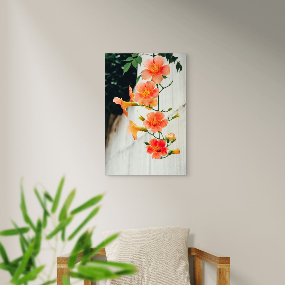 Chinese Trumpet Vine 40x60cm Metal Print Ready to Hang