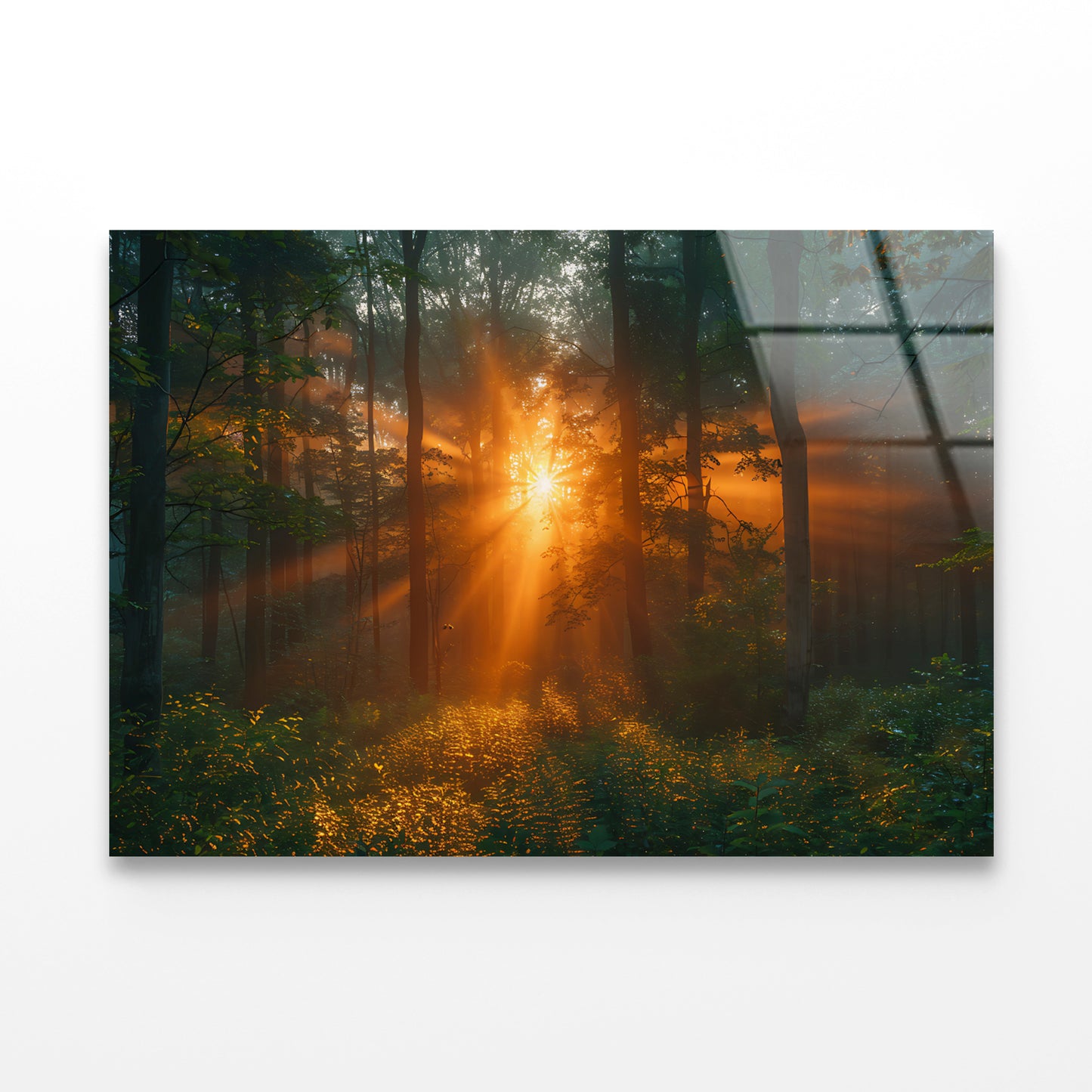 Sunlight Shining Through the Trees Acrylic Glass Print Tempered Glass Wall Art 100% Made in Australia Ready to Hang - Bella Home Decor