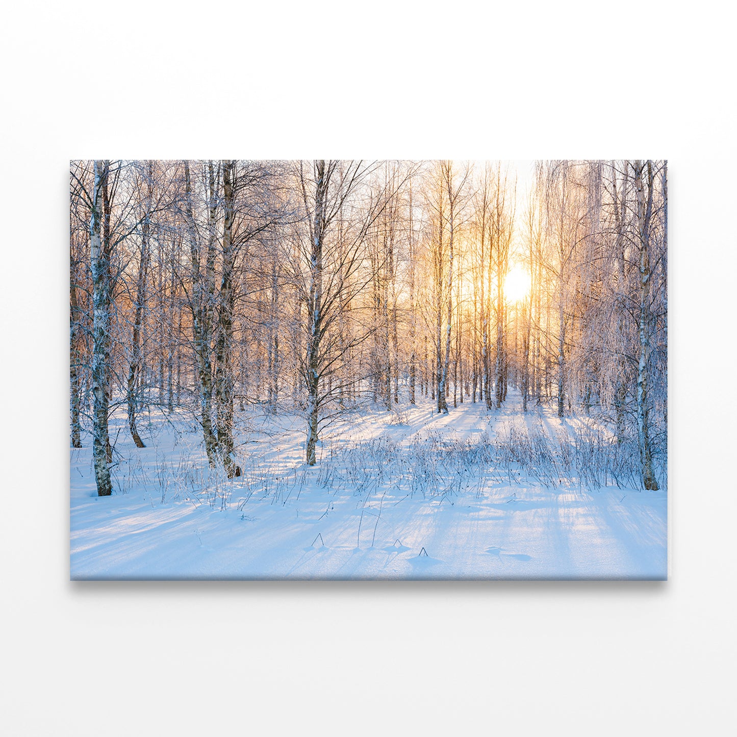 Sunlight in Snowy Swedish Forest Wall Art Decor 100% Australian Made - Bella Home Decor