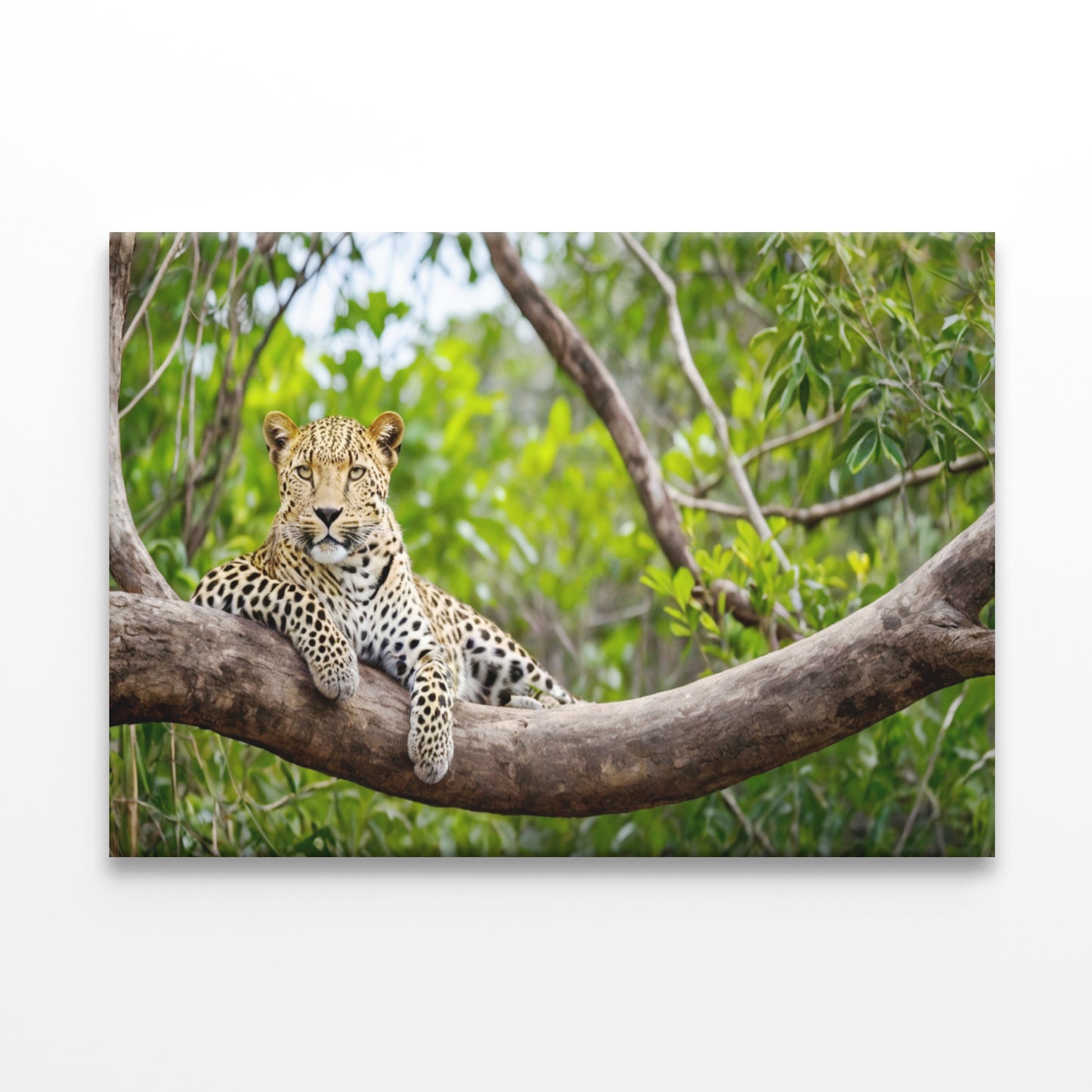 Sri Lankan Leopard in Yala Park Wall Art Decor 100% Australian Made - Bella Home Decor