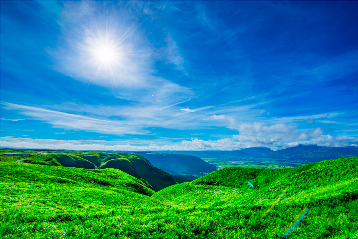 Refreshing Grassland Home Decor Premium Quality Poster Print Choose Your Sizes - Bella Home Decor
