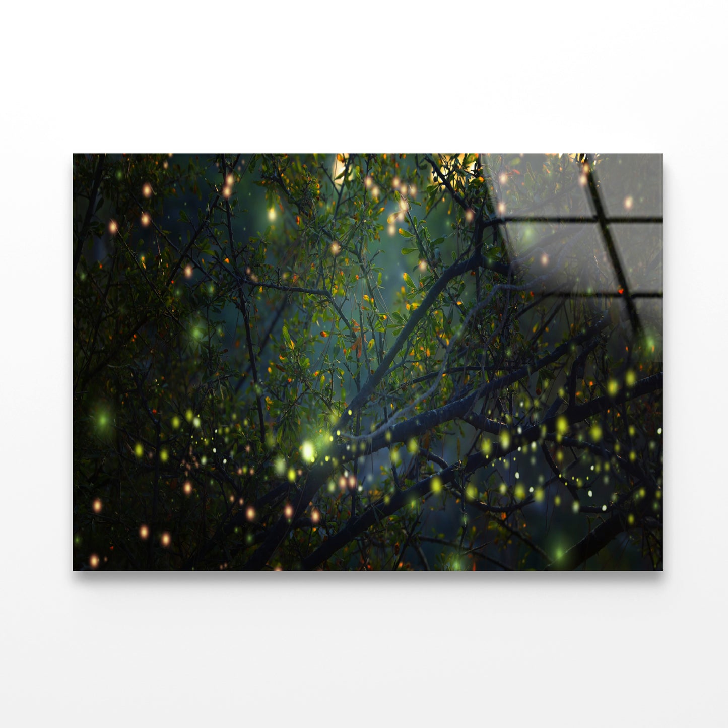 Group of Fireflies on Tree Branch Acrylic Glass Print Tempered Glass Wall Art 100% Made in Australia Ready to Hang - Bella Home Decor