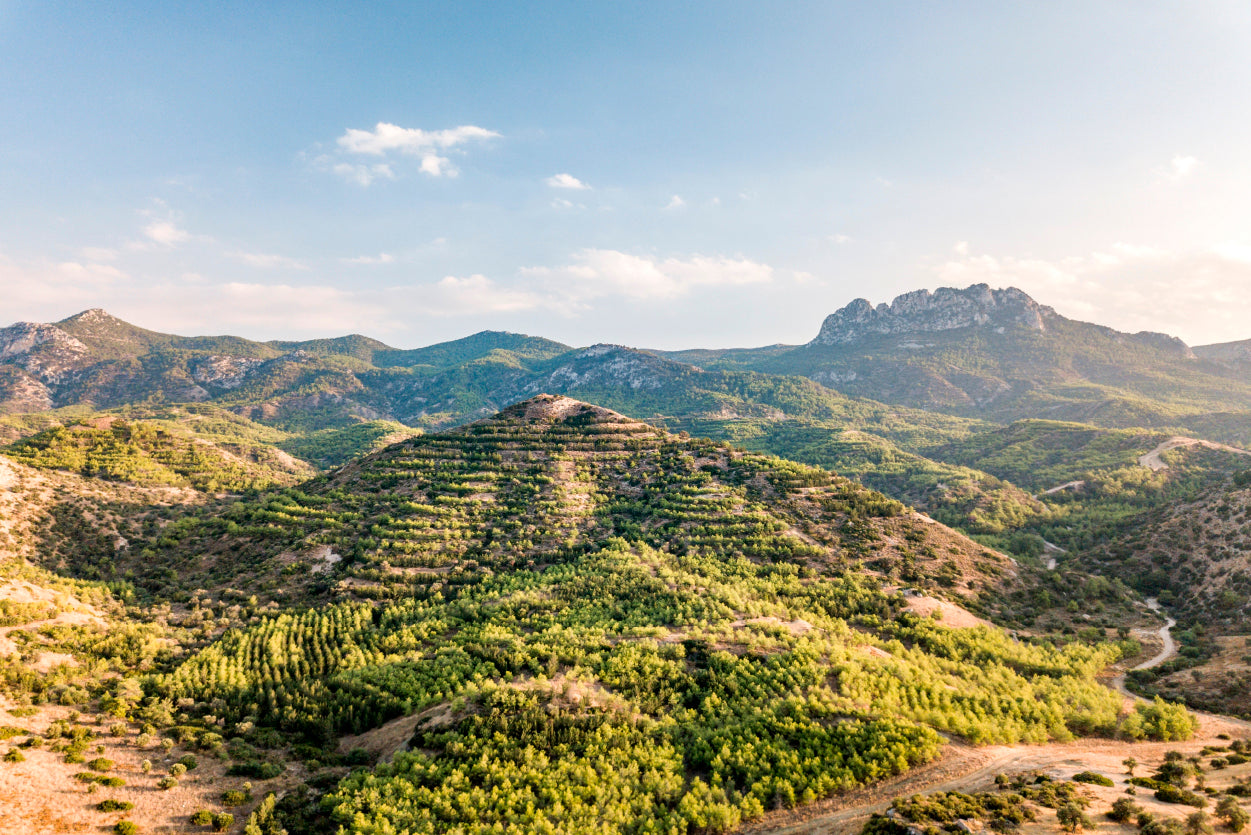 Hills and Trees under a Cloudy Sky in Cyprus Home Decor Premium Quality Poster Print Choose Your Sizes - Bella Home Decor