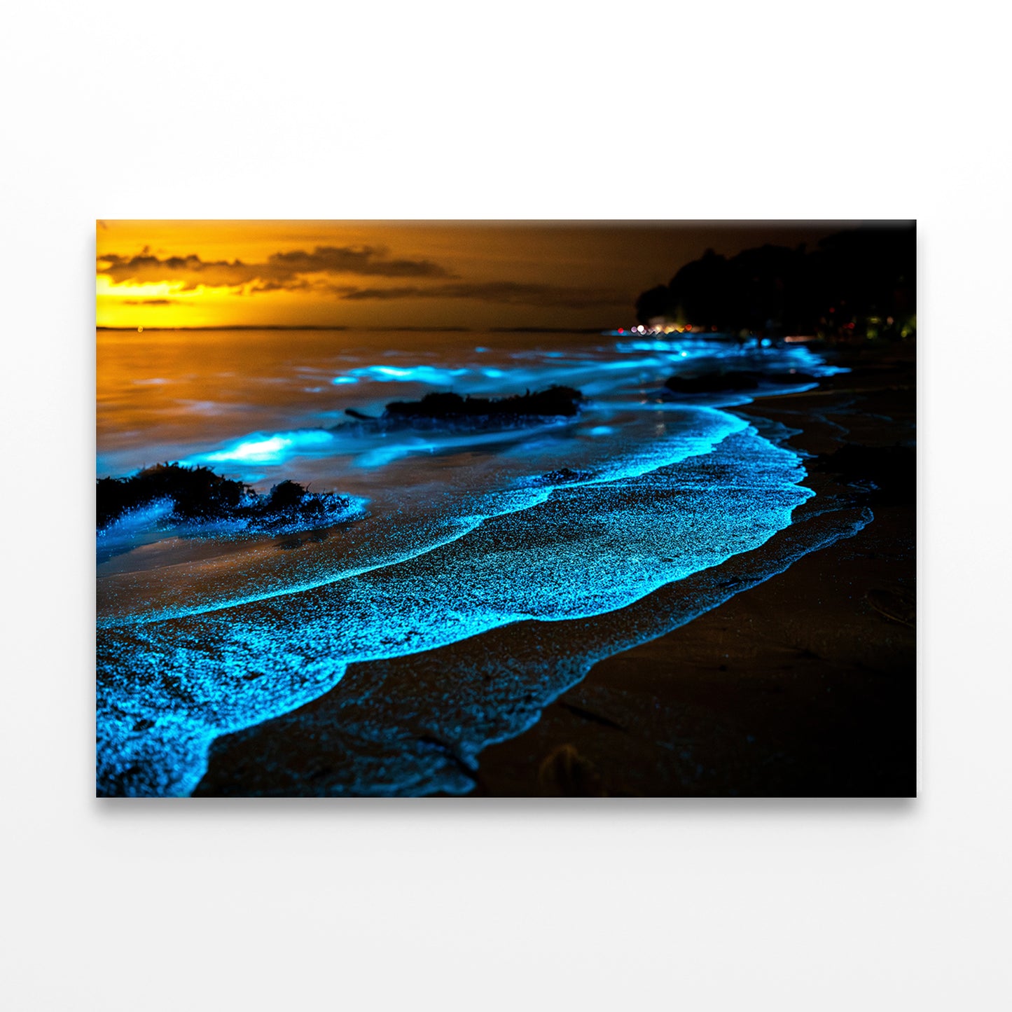 Bioluminescent Waves at Night Wall Art Decor 100% Australian Made - Bella Home Decor