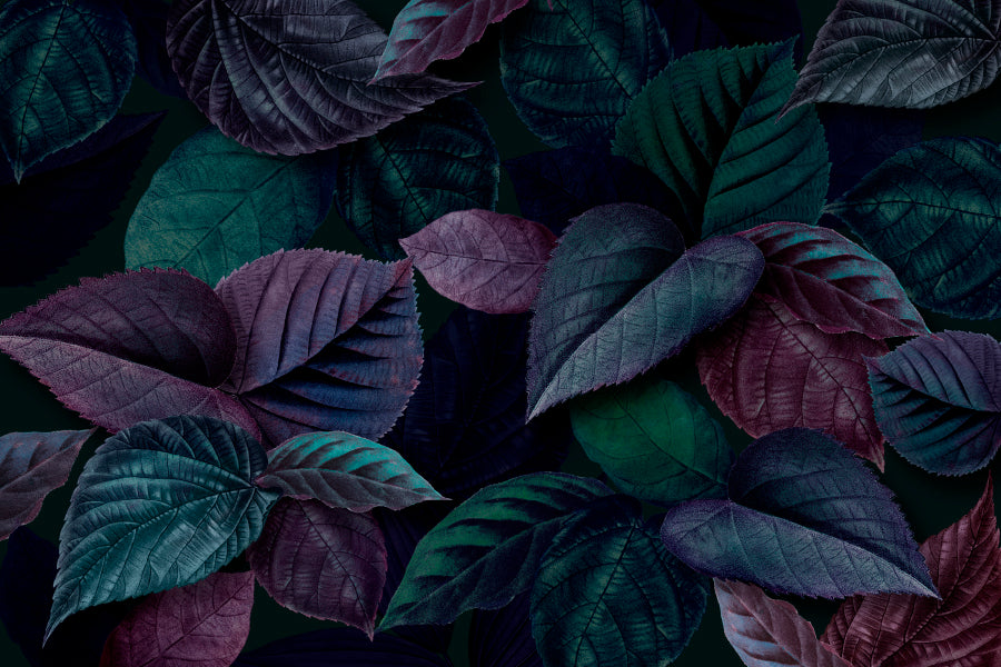 Bunch Of Leaves That Are Purple and Green Wall Art Decor 100% Australian Made - Bella Home Decor