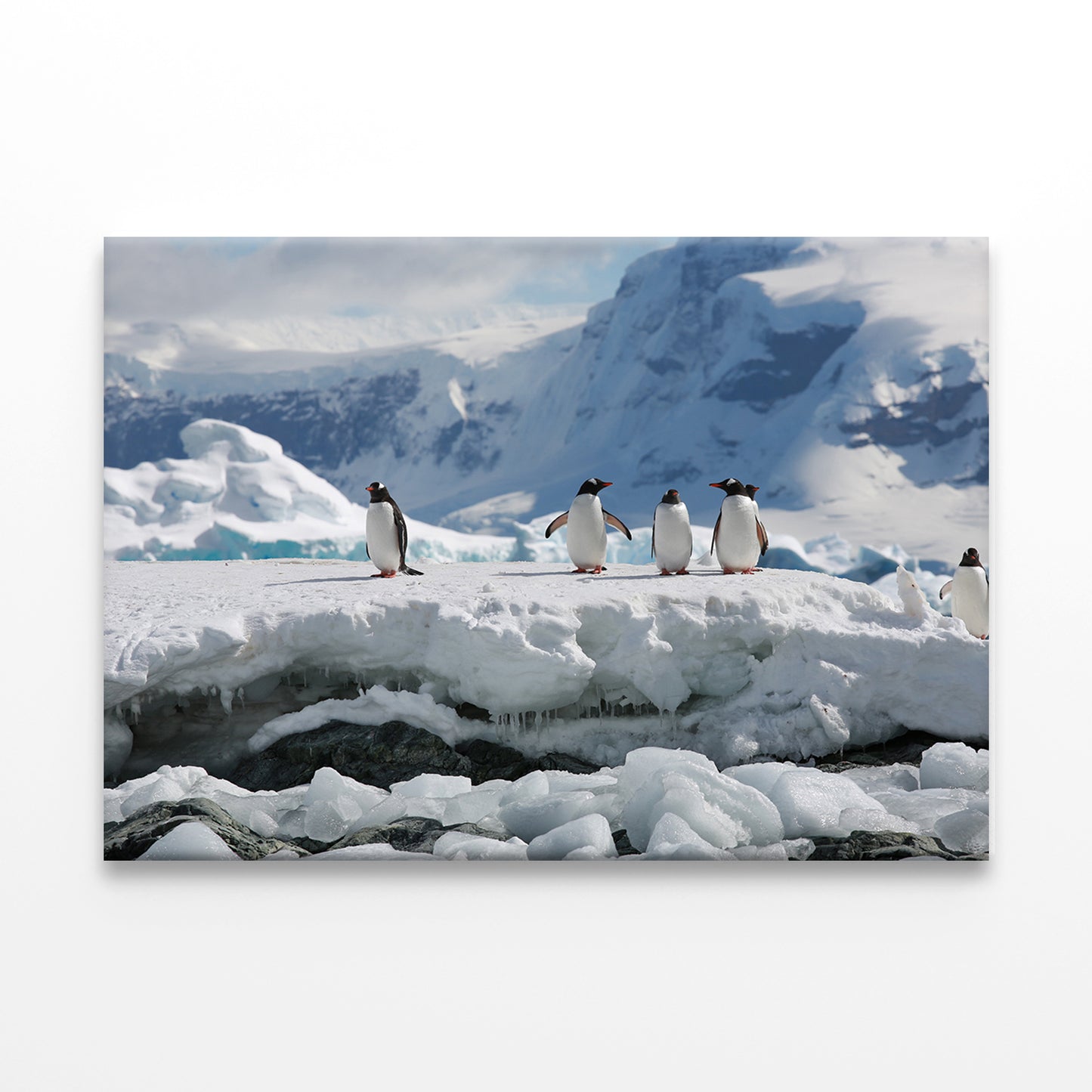 Antarctica Penguin Expedition Wall Art Decor 100% Australian Made