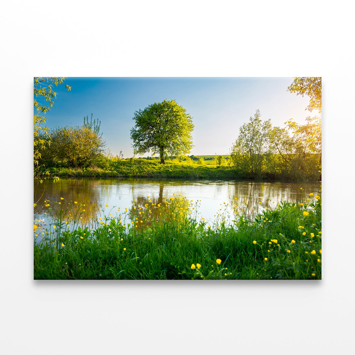 Spring Meadow by River Seret Wall Art Decor 100% Australian Made - Bella Home Decor