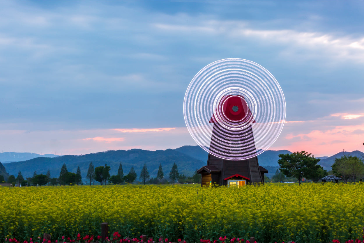 Windmill Rapeseed Field Wall Art Decor 100% Australian Made