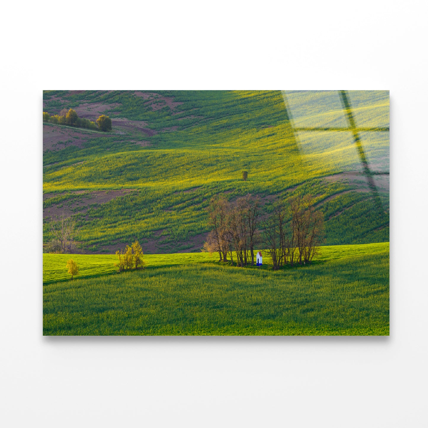 Person Sitting In a Meadow Acrylic Glass Print Tempered Glass Wall Art 100% Made in Australia Ready to Hang - Bella Home Decor