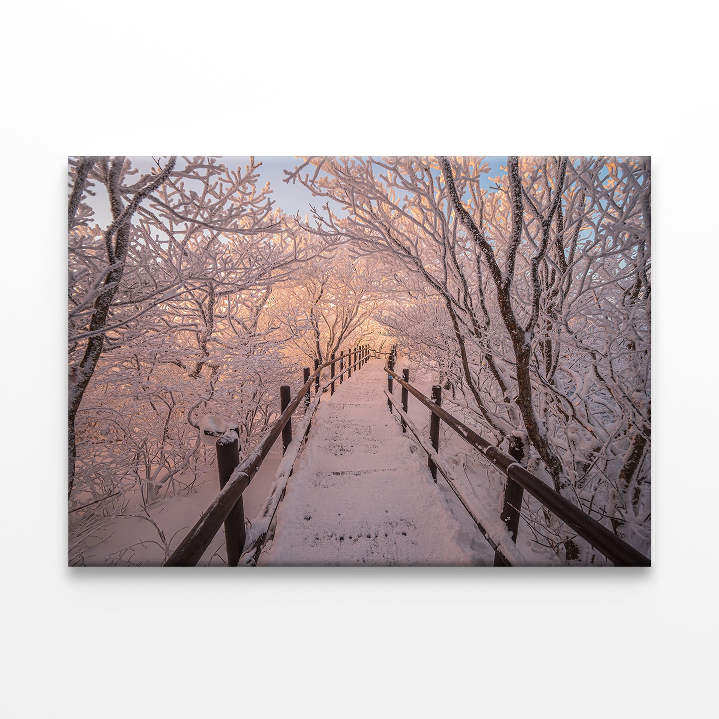 Winter scenery and snow clinging to the branches of the mountain peak Wall Art Decor 100% Australian Made - Bella Home Decor