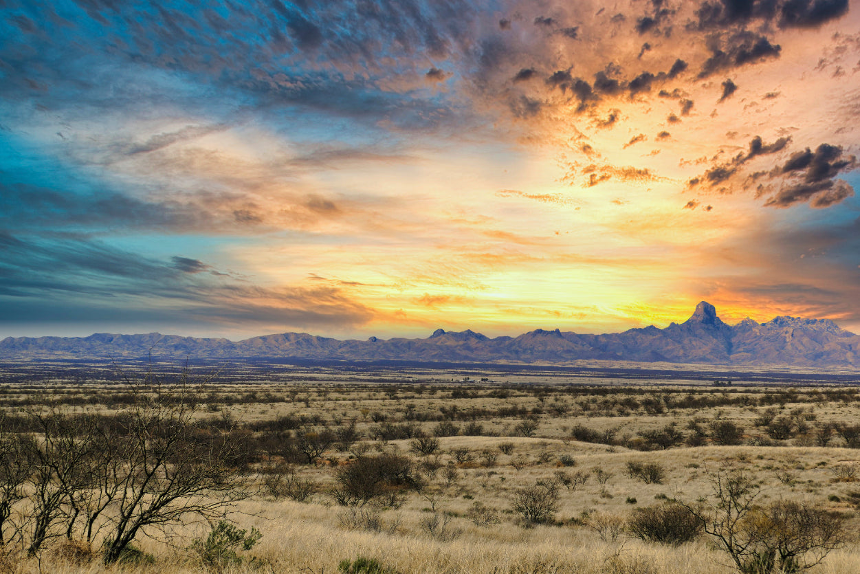 Desert Grassland with a Sunset & Mountains Home Decor Premium Quality Poster Print Choose Your Sizes - Bella Home Decor