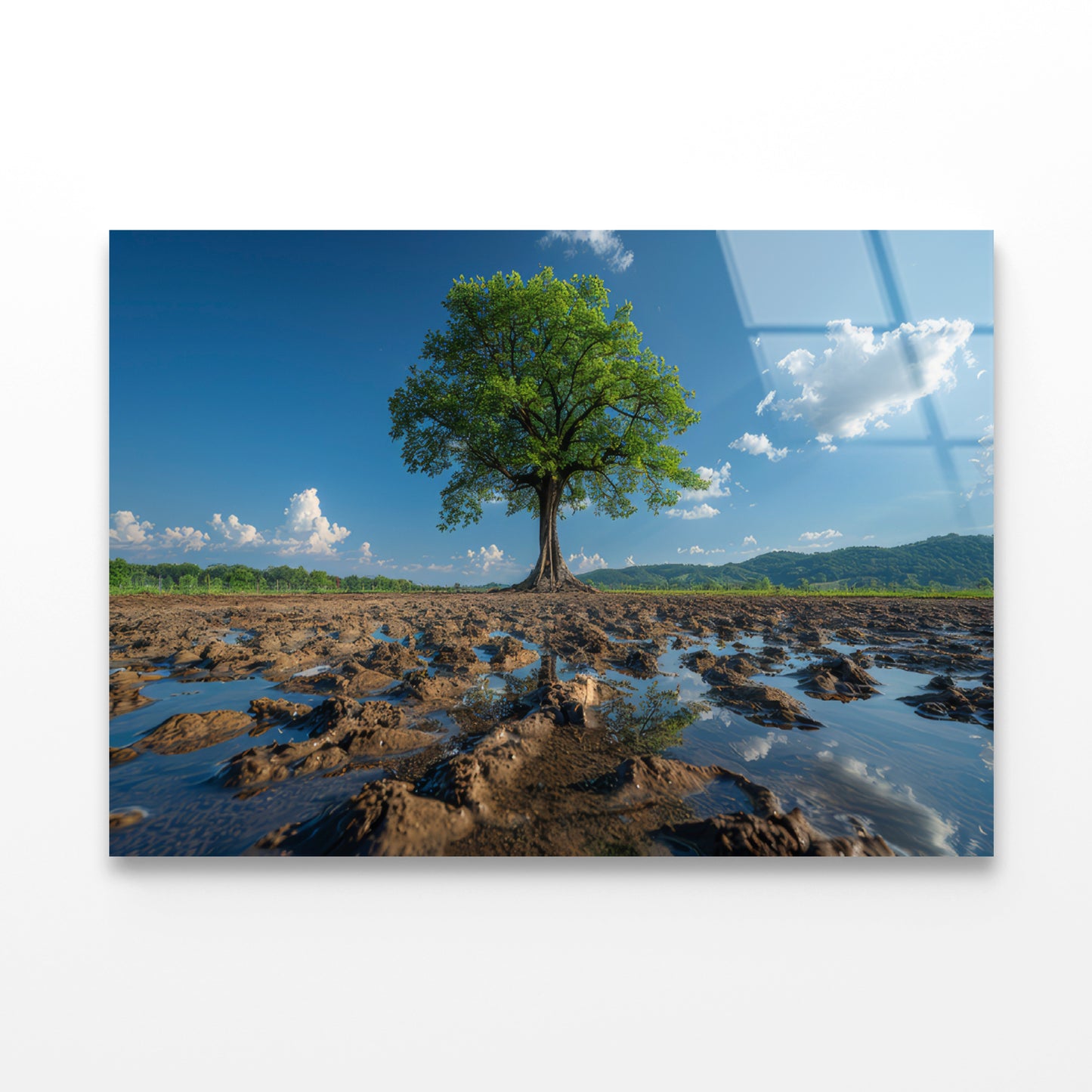 A Tree Is Standing In a Field Acrylic Glass Print Tempered Glass Wall Art 100% Made in Australia Ready to Hang - Bella Home Decor