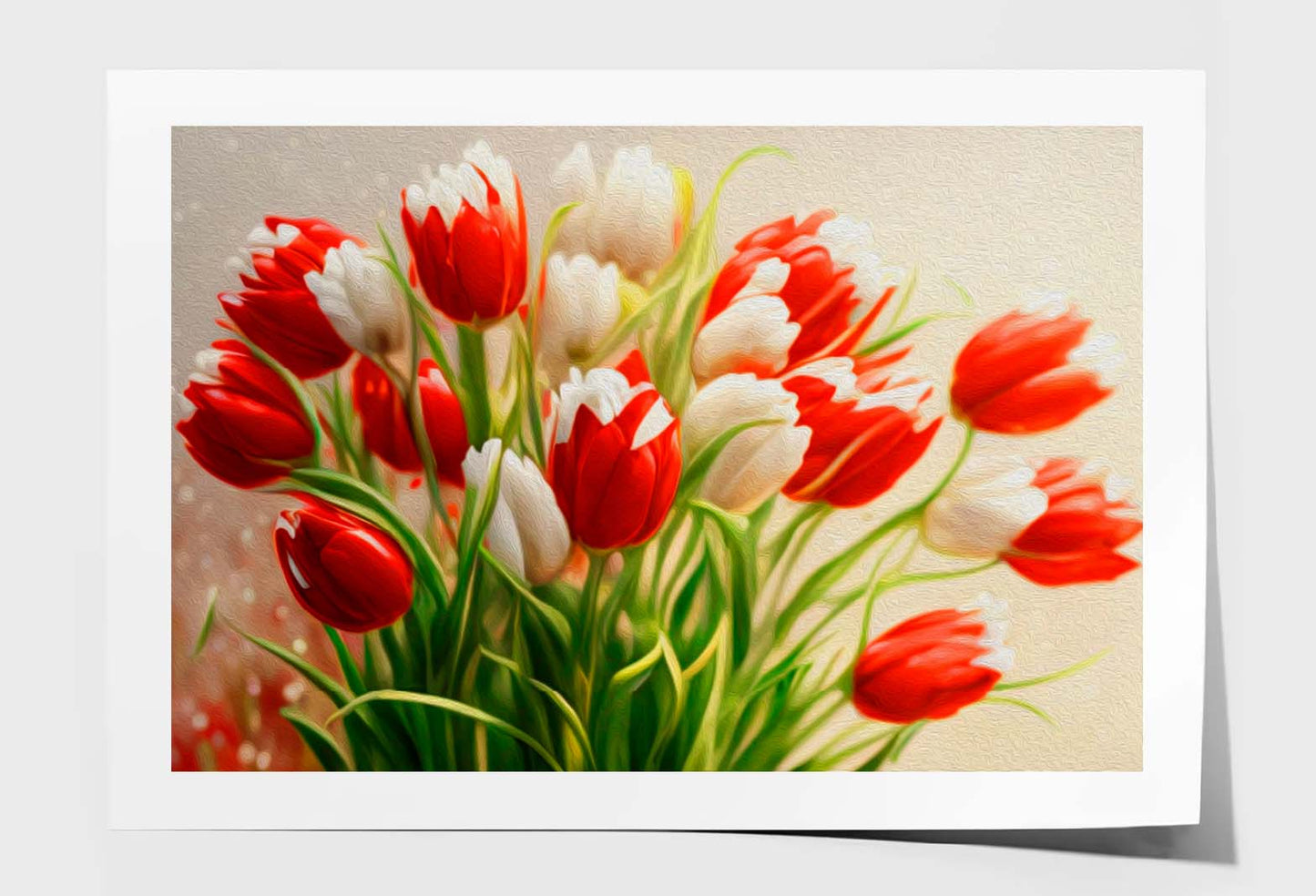 Bouquet of Red, White Tulips. Painted Flowers Wall Art Limited Edition High Quality Print Unframed Roll Canvas None