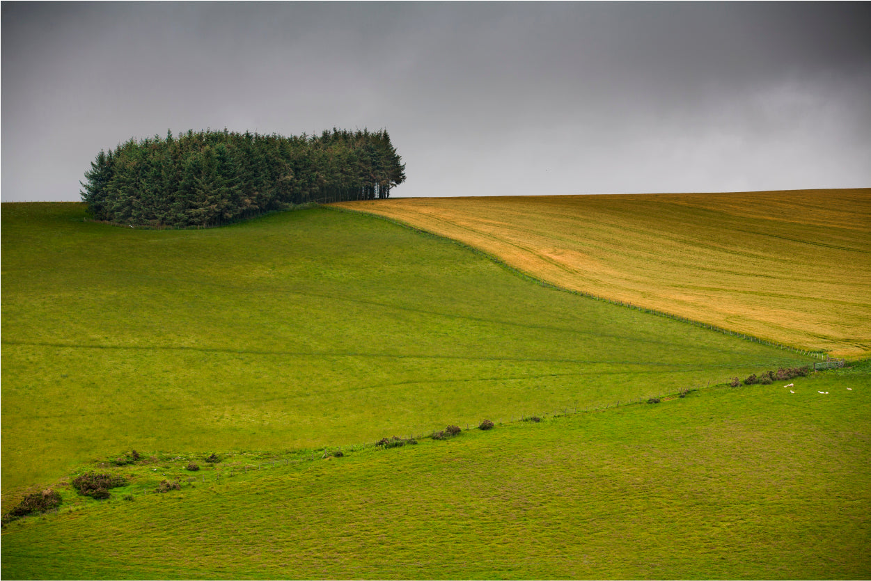 Paisajes De Escocia Home Decor Premium Quality Poster Print Choose Your Sizes - Bella Home Decor