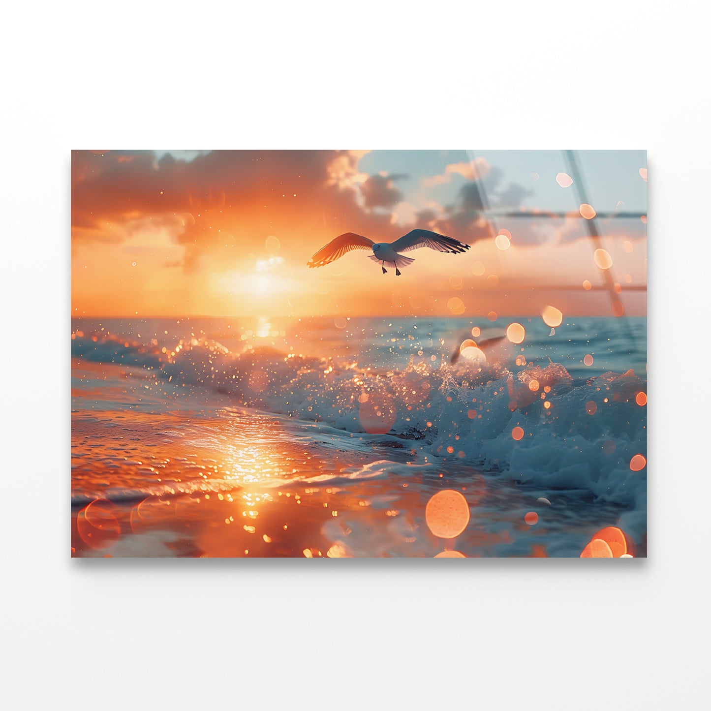 Bird Flying Over a Beach Acrylic Glass Print Tempered Glass Wall Art 100% Made in Australia Ready to Hang - Bella Home Decor