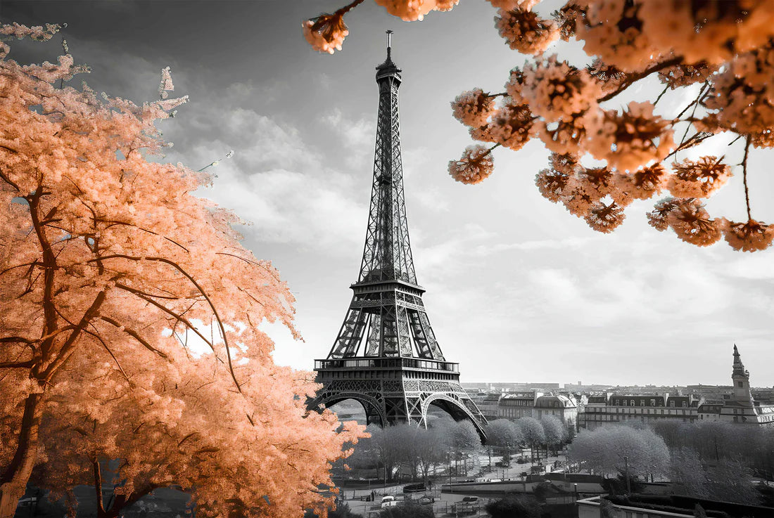 B&W Eiffel Tower Faded Flower Trees 90x60cm Print 100% Australian Made