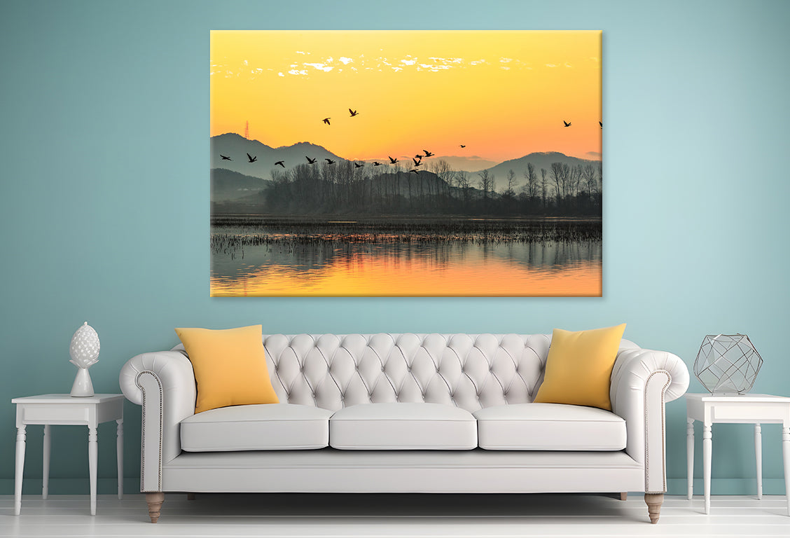 Winter Morning at Junam Reservoir, Korea Wall Art Decor 100% Australian Made - Bella Home Decor
