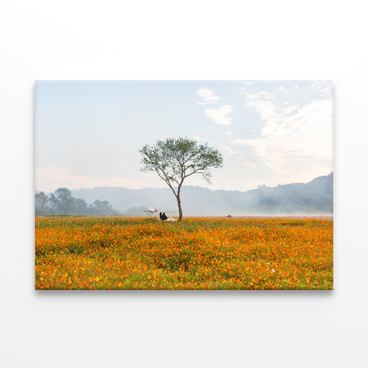 A landscape of autumn fields with cosmos in Bloom Wall Art Decor 100% Australian Made - Bella Home Decor